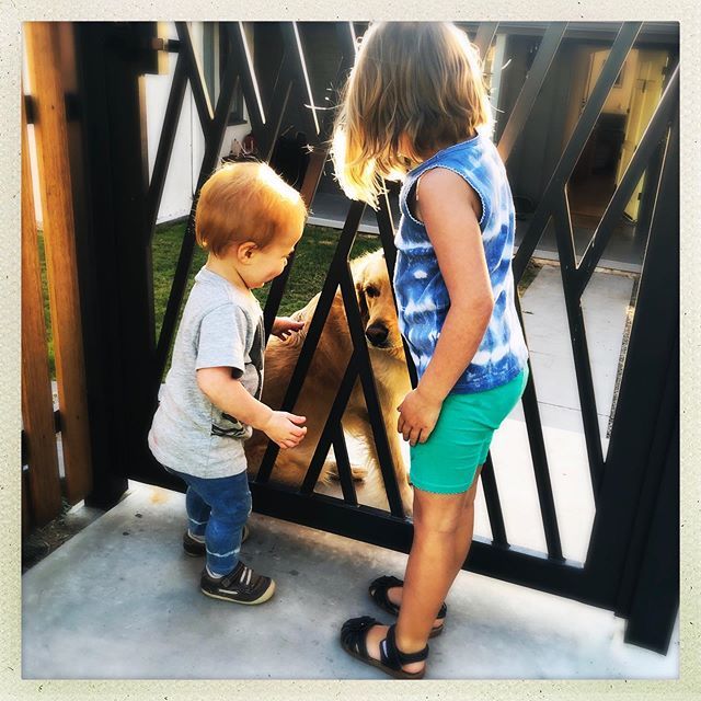 Not all is darkness. These are my sunshines ☀️. •
We never had a dog growing up, but our neighbor did. My little sister would visit her for hours every day after school. If she wasn’t at home, you knew she would be there petting Bashi through the fen… ift.tt/2LL05YO