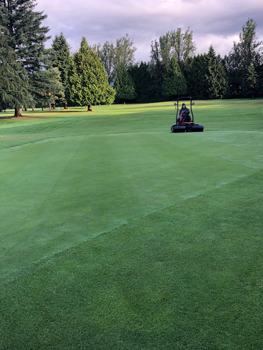 15 year old, 2nd day cutting greens. Can’t cut much straighter than that!