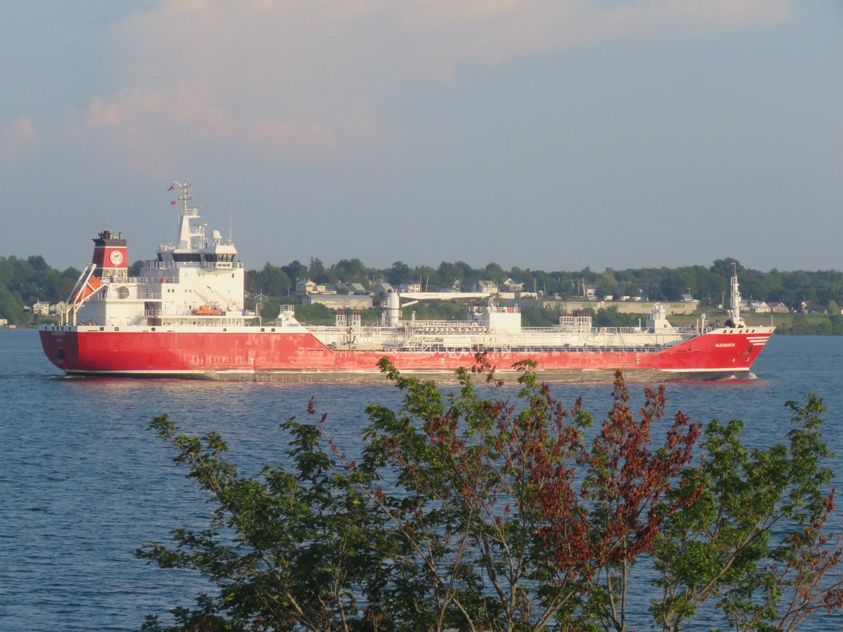 PrescottAnchor's tweet photo. 26 Jul 2019 up #StLawrenceSeaway at Prescott, ON. 18h52 Algonorth, product tanker flagged Canada for Sarnia, ON. #Algonorth #Algomaships #Seaway60 https://t.co/55p8TzucFn
