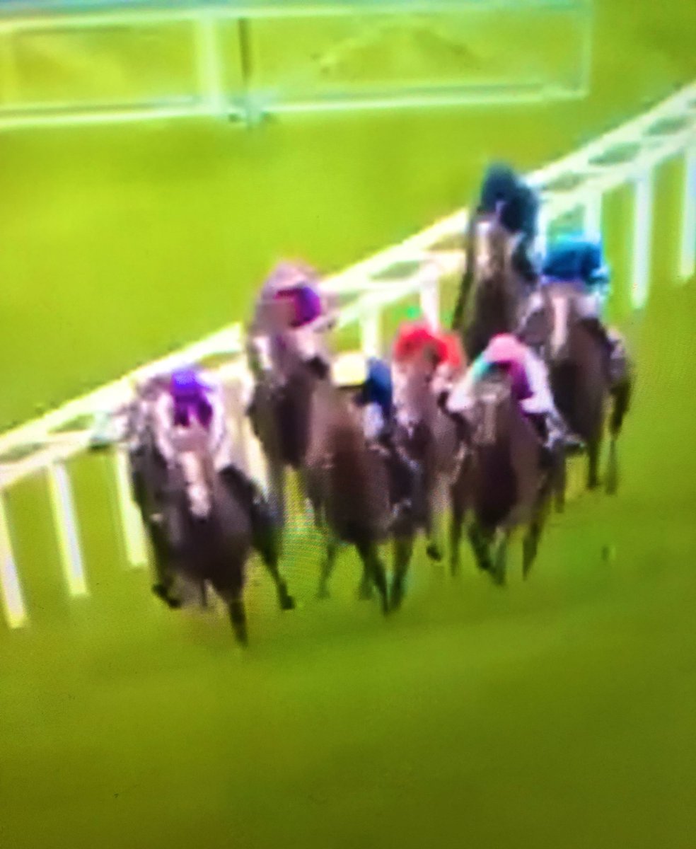 Hikari_F1_EBpro's tweet image. #競馬実況web #キングジョージ #KingGeorge #エネイブル #Enable 

最初、うー、、って思ってたけど、

解説に、最後もやっぱりめっちゃ賞賛されてたけど、
最後で、本当に走り切ってて
強かった…

競馬は、死ぬまでに
世界のものを絶対に見に行く！！✨✨✨🐎💓💓