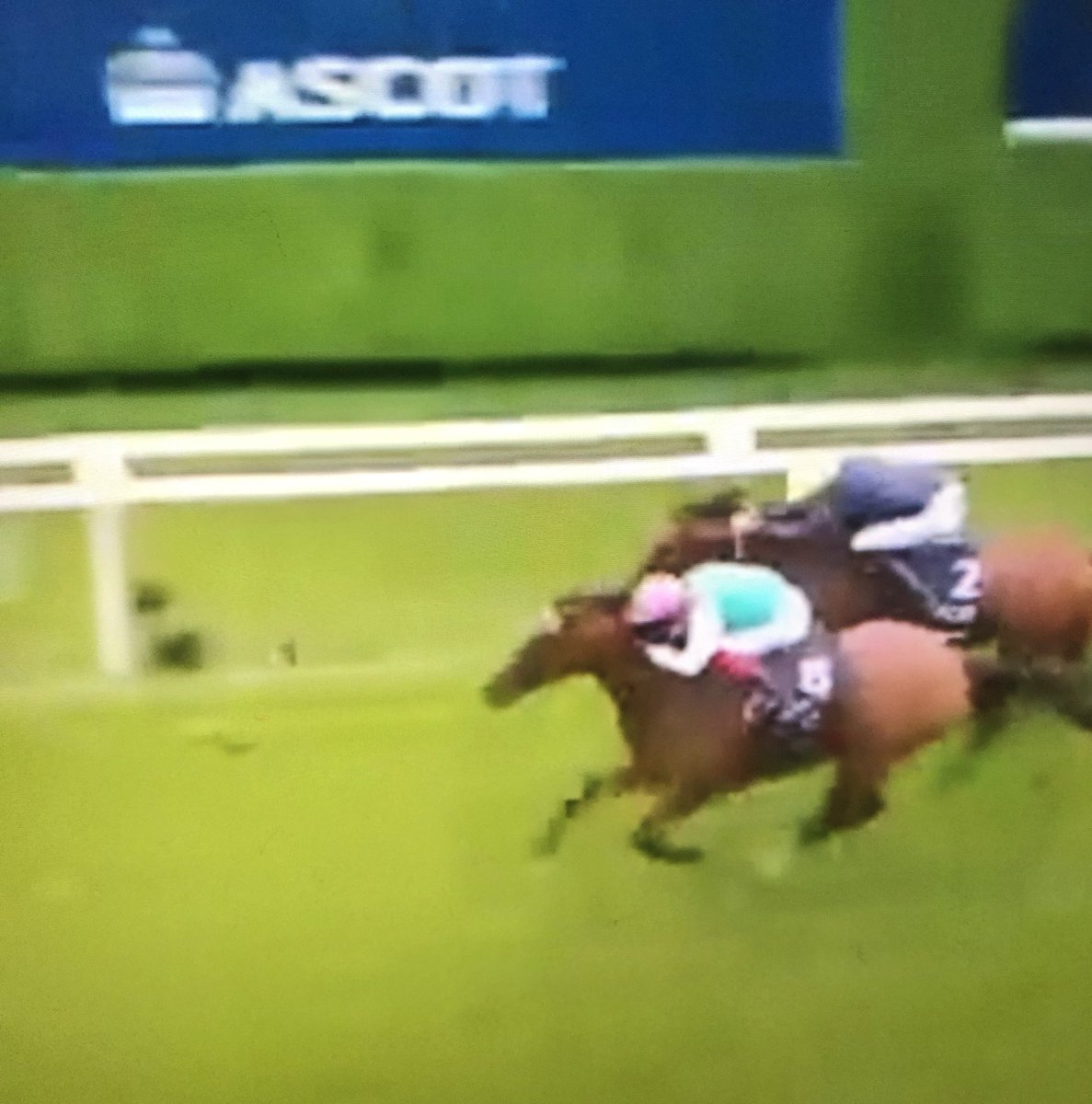 Hikari_F1_EBpro's tweet image. #競馬実況web #キングジョージ #KingGeorge #エネイブル #Enable 

最初、うー、、って思ってたけど、

解説に、最後もやっぱりめっちゃ賞賛されてたけど、
最後で、本当に走り切ってて
強かった…

競馬は、死ぬまでに
世界のものを絶対に見に行く！！✨✨✨🐎💓💓