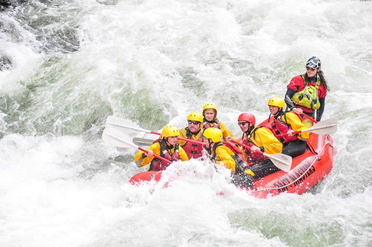 RaftMastersCO's tweet photo. Smashing those big waves at Clear Creek!
#RaftMasters #ClearCreek #BigWater #GuideVibes #KillinIt #WeLoveOurJobs #WhitewaterRafting #Highwater #BigFun #AdrenalineJunkies https://t.co/on8zzWvC8F