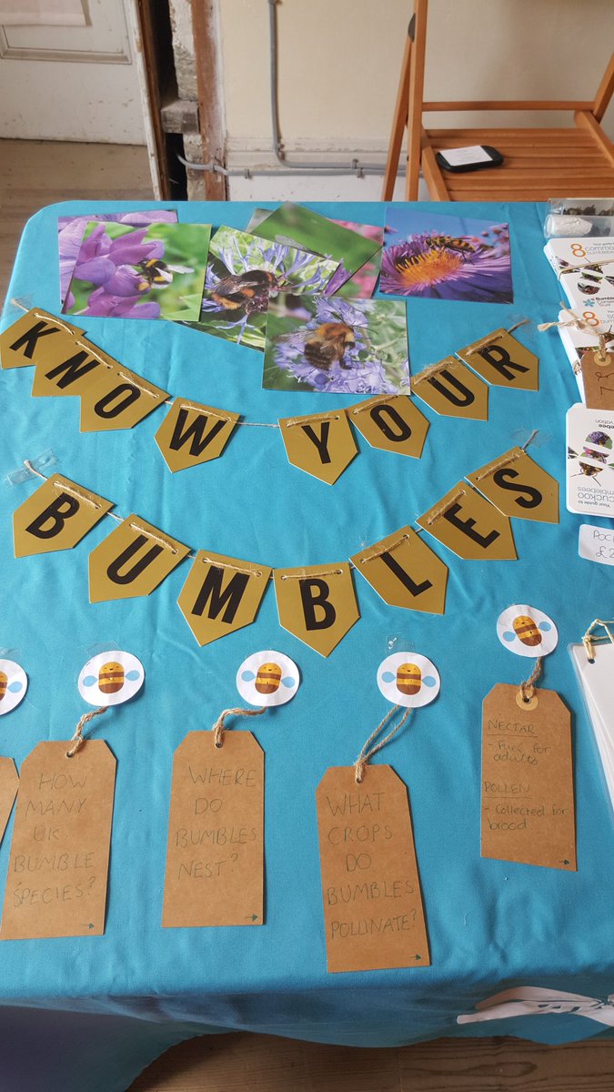 GardenPenair's tweet photo. BBCT at the Bee Fayre this weekend. The place is buzzing! Stalls and talks, come along and say "hi"@EnysGardens @BuzzingCornwall https://t.co/y41QaehKrs