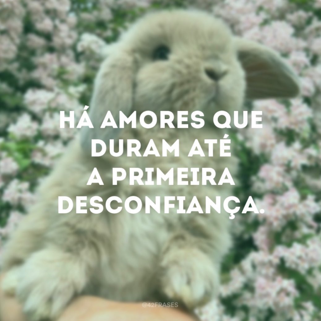 felipaopires's tweet photo. Bom dia https://t.co/LWrFGMYt9S