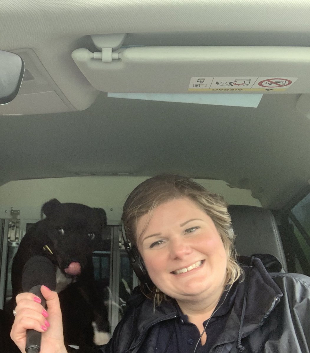 PoliceDogCooper's tweet photo. The day at #leekshow wouldnโt be complete without an interview with the lovely Susan @BbcStoke
PD Cooper is such a pro ๐๐ป๐พ๐พ https://t.co/idH03EAw86