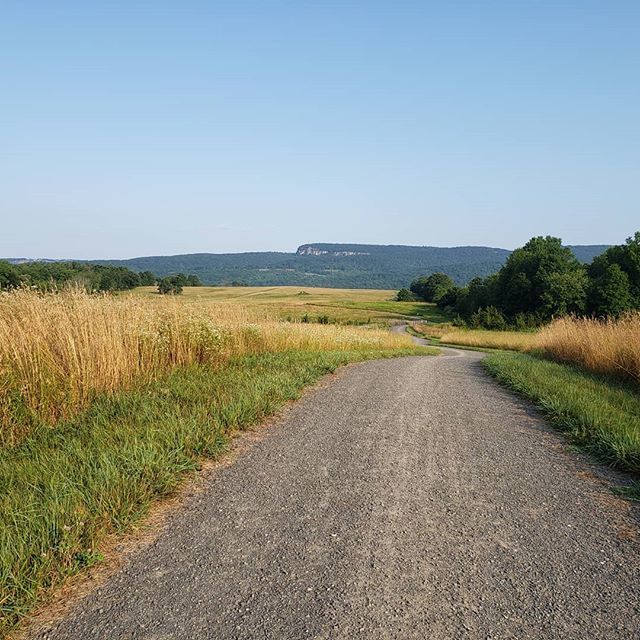 DesignLemming's tweet photo. The #newpaltz #openspaceinstitute #rivertoridgetrail this morning. Beautiful, but it gets hot fast out in that open field even first thing in the morning.
.
.
.
.
.
.
.
.
#gunks #mohonkpreserve #trailrunning #trailrunningviews #openspace #osi https://t.co/ACbu64KDGS https://t.co/Vre5xIu6Wv
