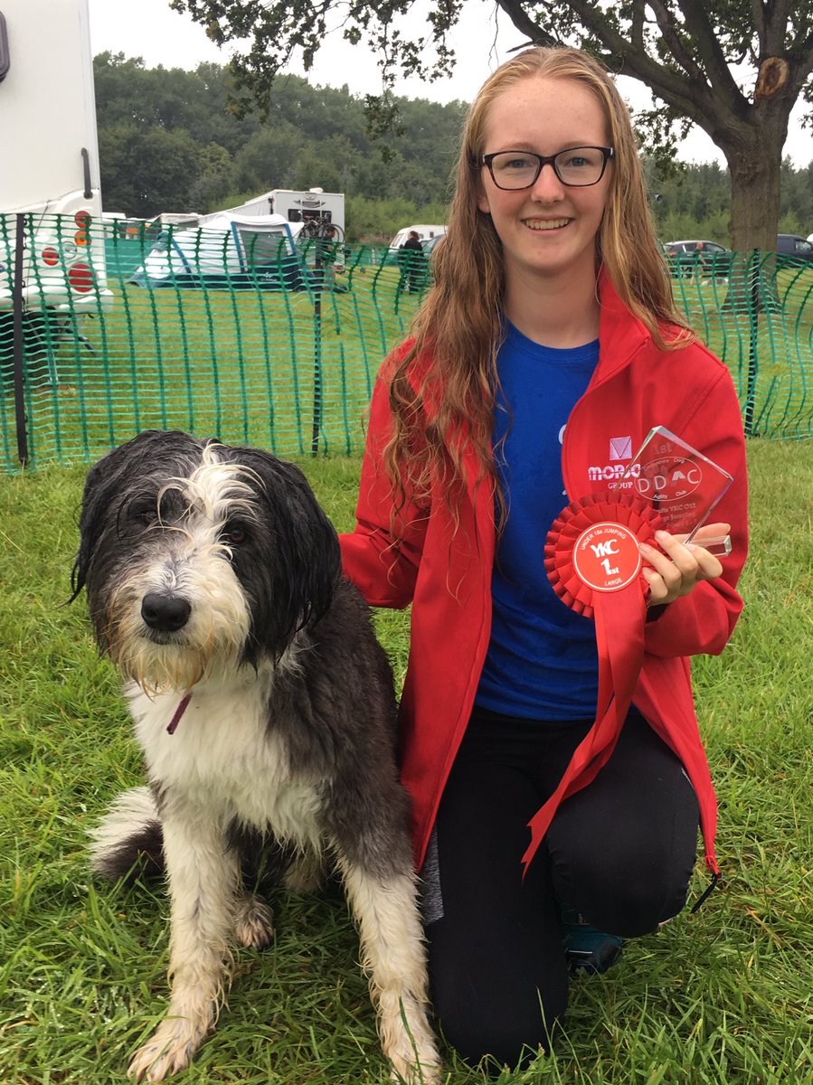 Wow!!! What an amazing weekend so far competing in Derbyshire. Charlotte and Widget have just won the YKC Jumping Qualifier so have qualified to compete at Crufts 2020!! Excited is an understatement 🐾🐾 #workingbeardies #teammorson @MorsonGroup