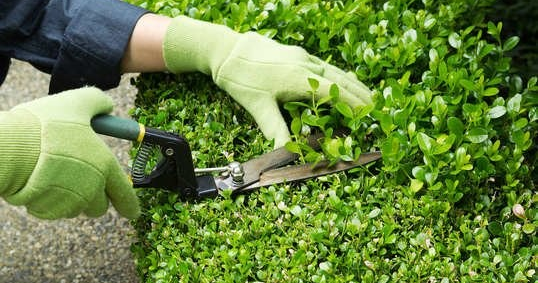 CelestecarterM's tweet photo. 15 Quick and Easy DIY Home Improvements - Bob Vila

https://t.co/K7p7cNGHgw
#CelesteCarterMcAfee 🔨#DIY 🔧#DIYTIPS 🔦 #HOME #HowTo 🏡#KellerWilliamsLegacyGroup
 #HOMEOWNER #SELL #BUY #REALESTATE #REALTOR 
https://t.co/dgWrkT9I4y https://t.co/utl4VNUeyM