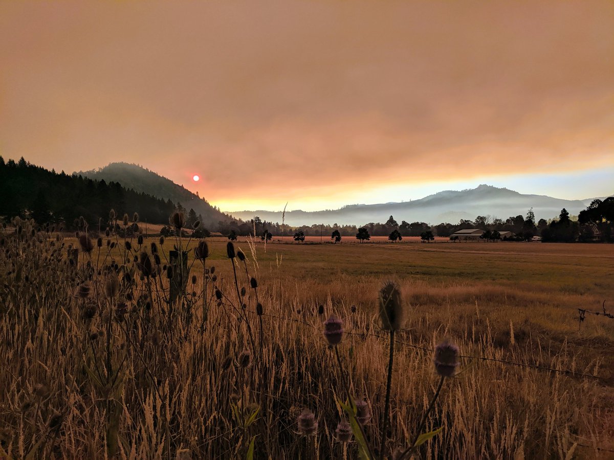 ryanfinlay's tweet image. The #MP97Fire is now almost 9k acres as of Saturday morning. This photo is the sun rising through the smoke in Azalea just south of where the fire started in Canyonville.