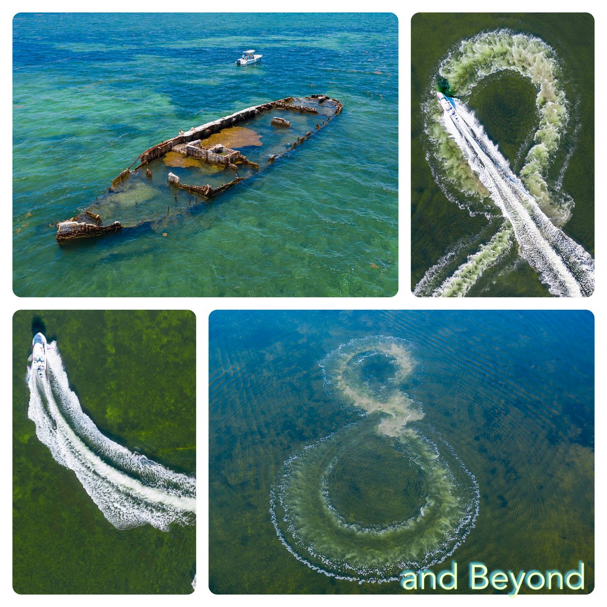 deborah_rambo's tweet photo. ...Until next year ... 2019 in the books #CaughtLIMIT #catchingBugs #keylargo #oceanInfinity #seaInfinity @VPDrone https://t.co/pM6YUT7Bxw