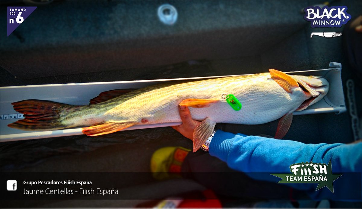 elpezrosa's tweet photo. Aquí tenéis las bases del 2º Classic Santa Ana. Este año el primer clasificado de pato se llevara un Motor Float Plus. Plazas limitadas...
https://t.co/AKxjuhyRhK

#classicsantaana #iberux #pesca #blackbass #floatplus #babyface #fiiish https://t.co/kVkwX9thnU