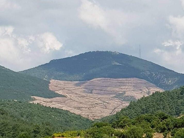 Altın madenine bir imzanızla hayır demek için: change.org/altindaolumvar Kaz Dağları’nın doğası ve tüm canlıları Kirazlı Siyanürlü Altın Madeni nedeniyle tehlike altında! #KazdağlarıHepimizin #altındaölümvar