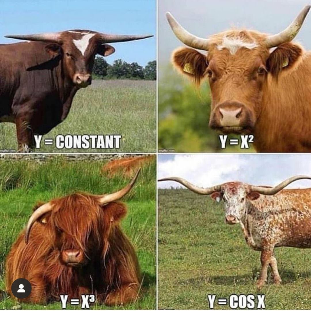 Math is everywhere 😀. Credit facebook.com/secretsofunive…