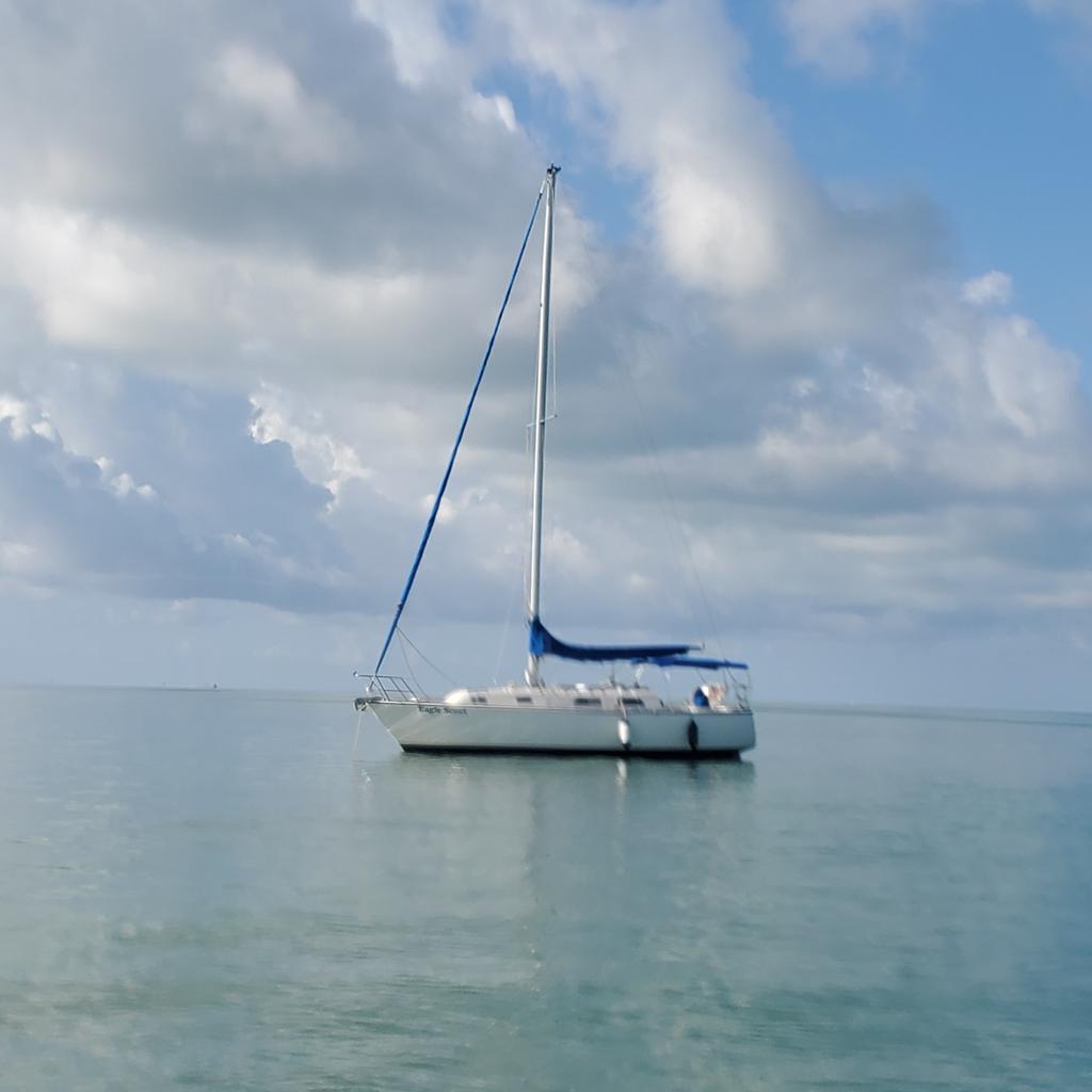 Troop298's tweet image. #Seabase #Troop298 paddleboarding,  sailing, fishing, Key West and Fort Zachary trips, beach, snorkeling, kayaking and more. What a blast!