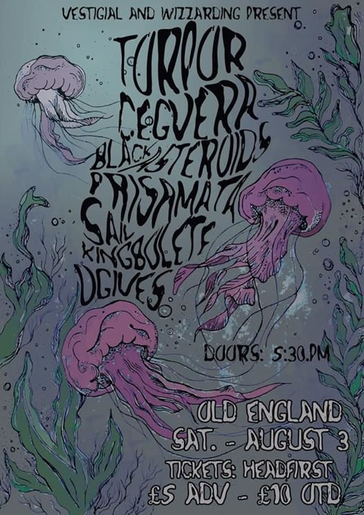 #TORPOR #Cegvera #BlackAsteroids #PrisaMata #SailBand #KingBolete and #Ogives #live at #OldEngland #Bristol #England
#livemusic #gigposter #upcominggig #livemusicbristol #livemusicengland
#stoner #doom
#artwork by #YakiPride