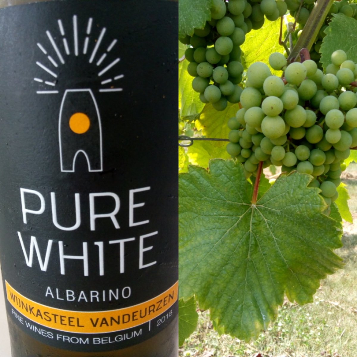 stefaansoenen's tweet photo. Prachtige 2018 Albariño in Linden, dichtbij Leuven. Moet je wel eens geprobeerd hebben, doet aan volle Viognier denken. Ook 2017 was knap. Proficiat Wijnkasteel Vandeurzen. #albariño #Belgischewijn #coolclimate https://t.co/dFkJKXpvek