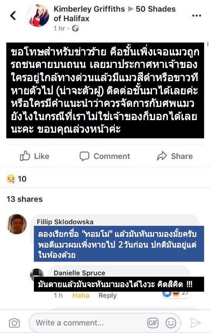 HittochiHitto's tweet image. อ่านกี่รอบก็ยังขำ นี่พวกมึงคุยเหี้ย อะไรกันเนี่ย5555555555555555566666666