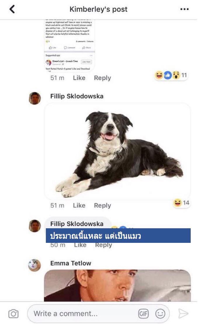 HittochiHitto's tweet image. อ่านกี่รอบก็ยังขำ นี่พวกมึงคุยเหี้ย อะไรกันเนี่ย5555555555555555566666666