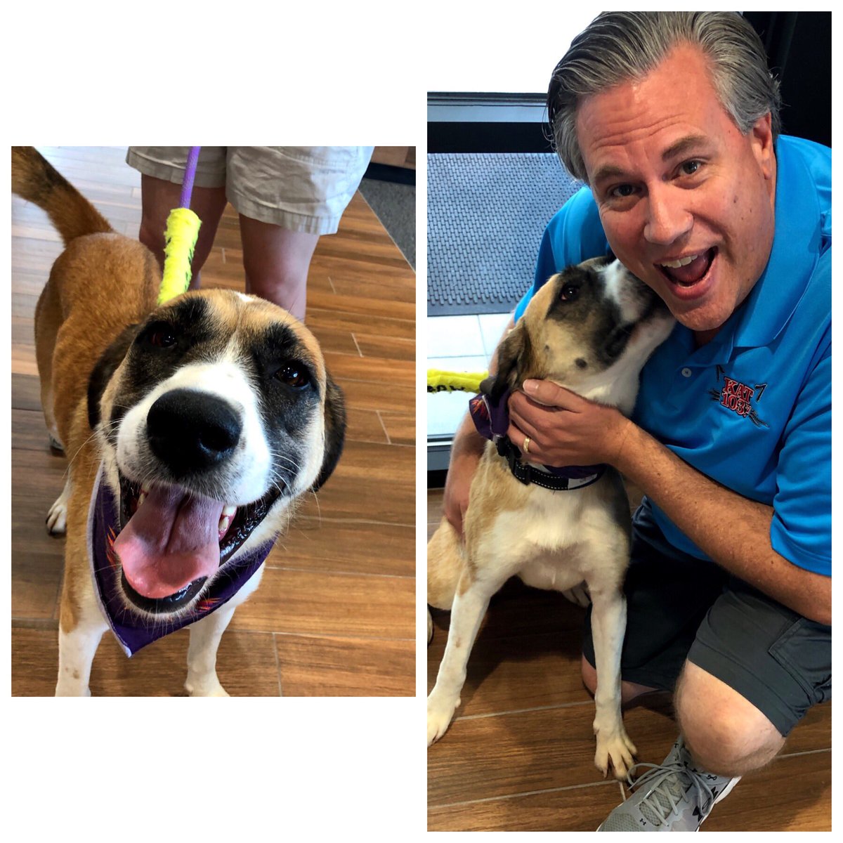 Kat103Omaha's tweet photo. Hoss here at @WoodhouseAuto and their grand opening of Woodhouse Place Mazda at 144th & Giles with the Midwest Dog Rescue Network #notreallyworking https://t.co/OLIkFSxJlK