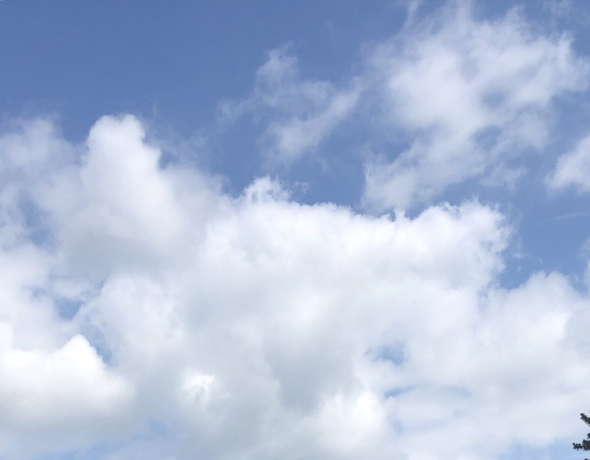 あの紙ヒコーキくもり空わって