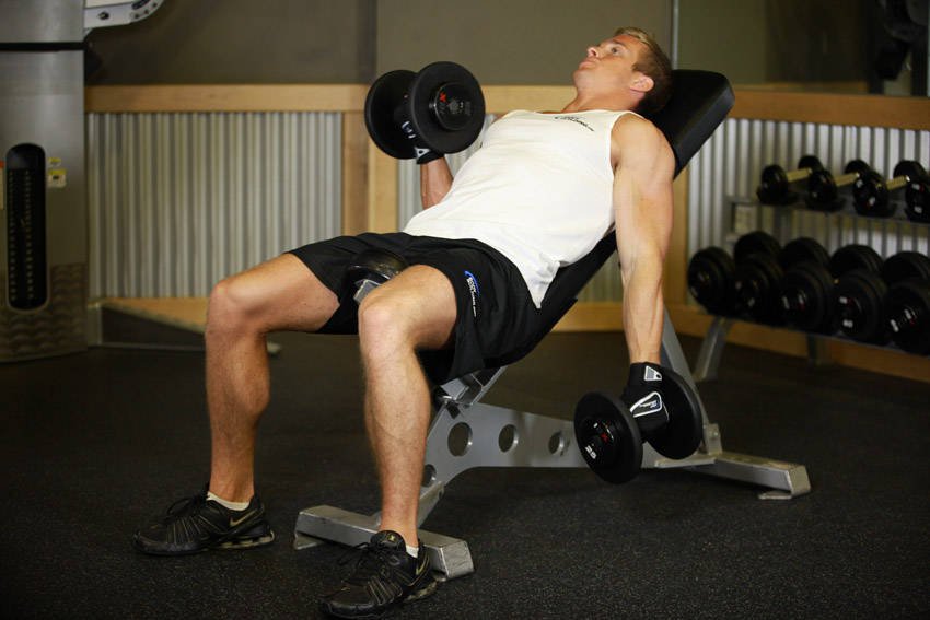 ForsaleWeight's tweet photo. Workout for Biceps. Alternate Incline Dumbbell Curl https://t.co/WAs6RobHNk
