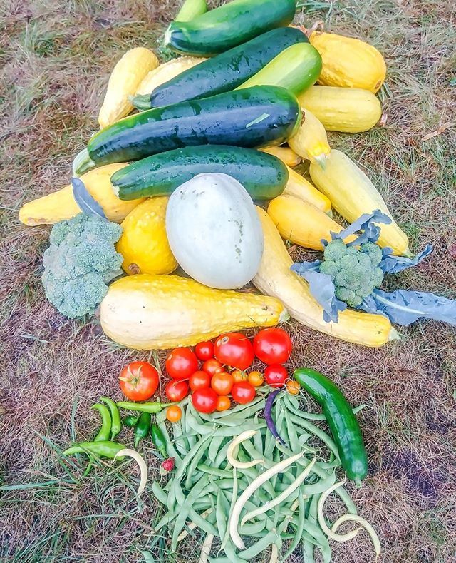 MomManyBlessing's tweet photo. This time of year we tend to shop at our local farmers market weekly. The local produce is way better than anything you can get from the store. Sometimes finding new recipes to use with that produce can be a bit of a struggle.⁠
.⁠
.⁠
That is why I pu… https://t.co/amwMUAyCgO https://t.co/4tqFJ9IF5Y