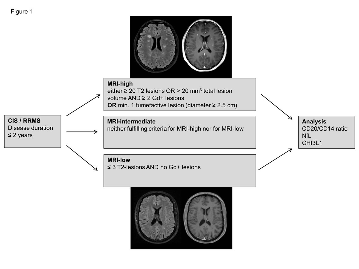 wedgeachilles's tweet image. @GreenJournal: Intrathecal B-cell accumulation and axonal damage distinguish MRI-based benign from aggressive onset in #MultipleSclerosis.

nn.neurology.org/content/6/5/e5…

#Neurology #Neuroimmunology #MS #BreakthroughMS @mssociety #walkMS