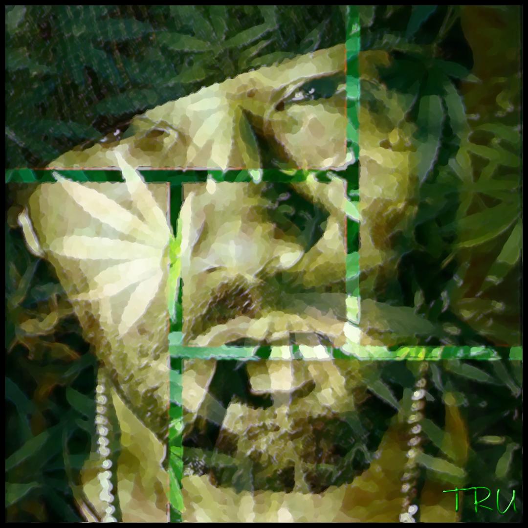 FrankTru1's tweet image. #FunkDoc @therealredman tribute piece #Jersey #HipHop #ForTheLoveOfThis #Respect #LegendaryStatus 🙌🏼👑💪🏼