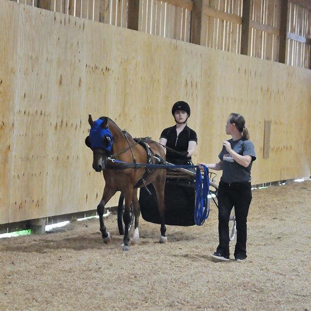 loveshorsesoh's tweet photo. I’m finally home! I have one final PT appointment on Monday and then hopefully I can start looking into dressage barns to start getting back into riding lessons as well as doing another driving lesson!! https://t.co/zBoPfB4CcJ https://t.co/oINIlltKIb