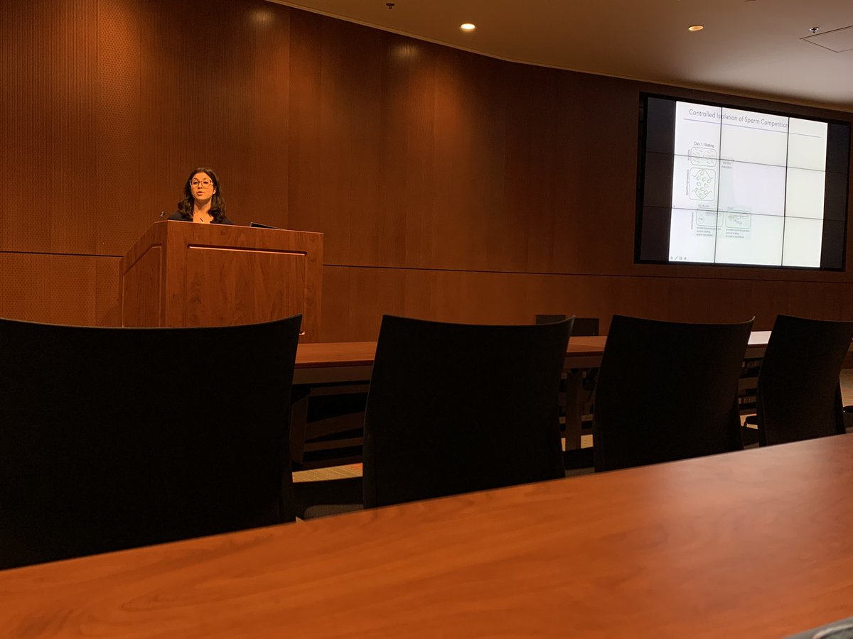 butch_brodie's tweet photo. @katjakasimatis on experimental evolution of post-copulation competitiveness in worms. #SteveFest https://t.co/bDx7E1bDau