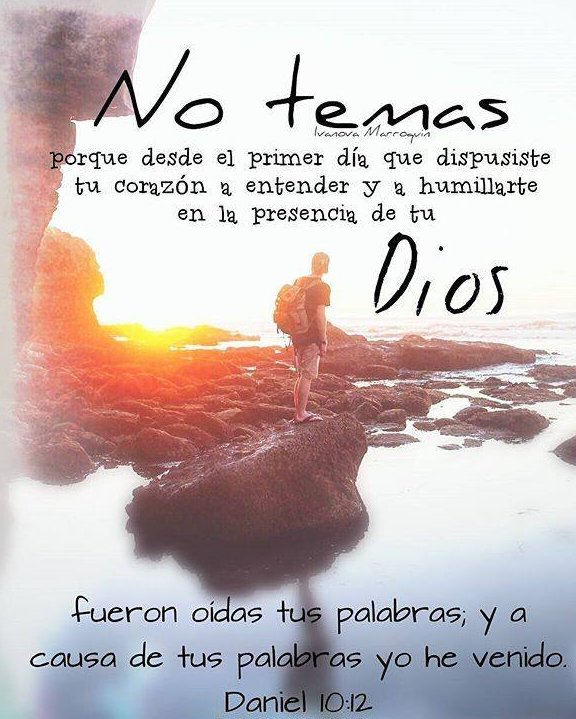 EstebanBenOK's tweet photo. El Señor no rechazará a su pueblo;
no dejará a su herencia en el abandono.
Cuando en mí la angustia iba en aumento,
tu consuelo llenaba mi alma de alegría.

♦ «Salmos 94:14,19» 📖☝️🏻 https://t.co/tBkIWq44BQ