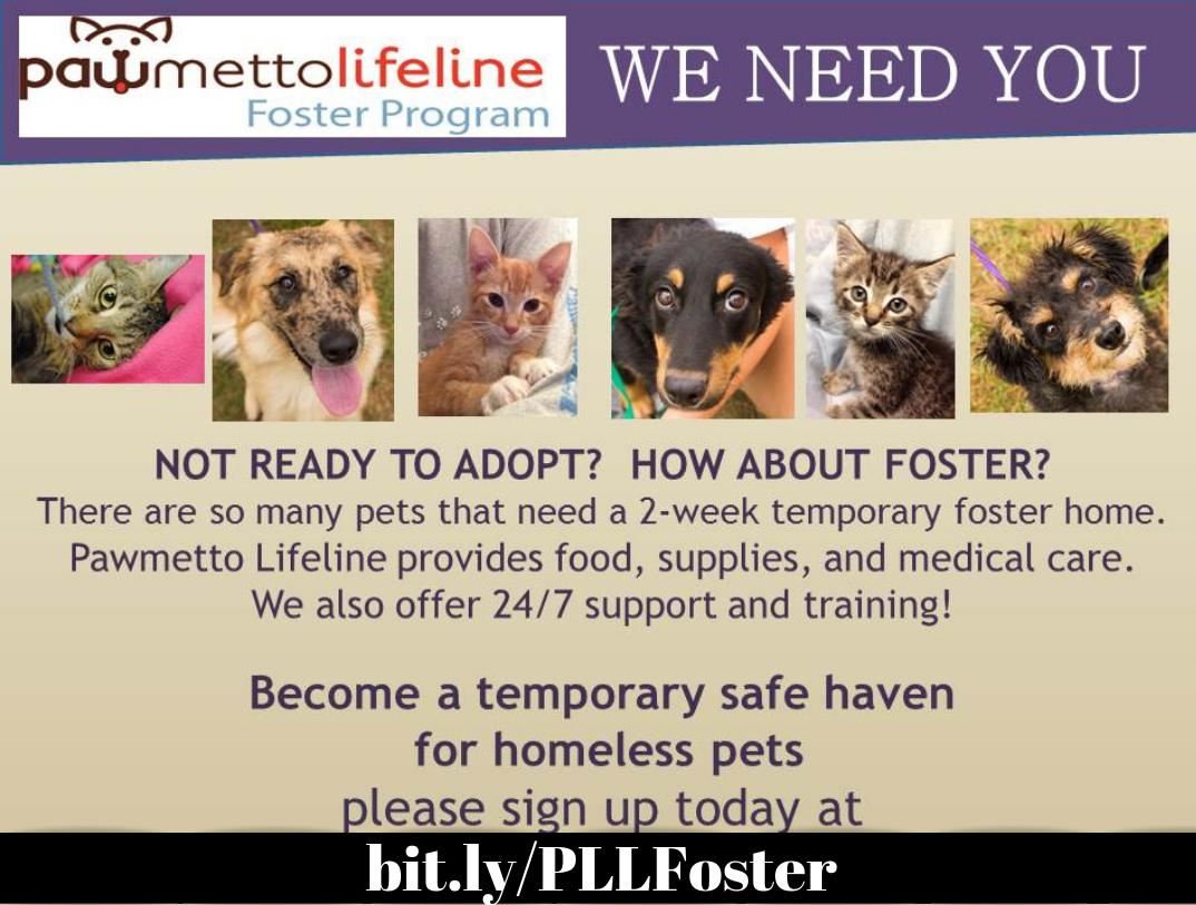 Home - Life Line Pet Nutrition