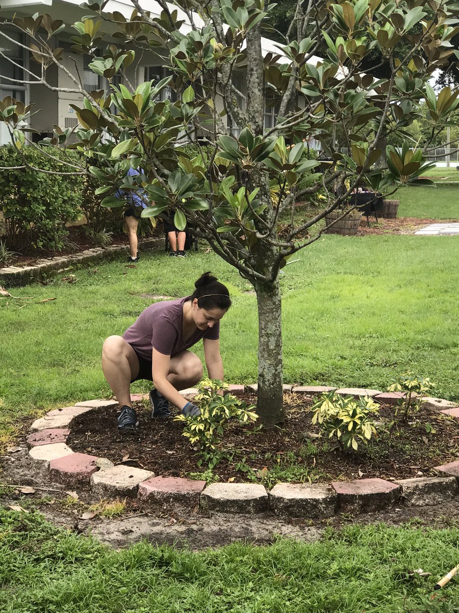 TransformHCPS's tweet photo. Students, parents &amp; staff spent their Saturday @HCPSClairMel working hard at this Back to School Beautification Day! They’re showing their Cougar Pride &amp; getting the campus ready for the start of an amazing year! #WeAchieveTogether @HillsboroughSch https://t.co/SEBsKsc5Ph