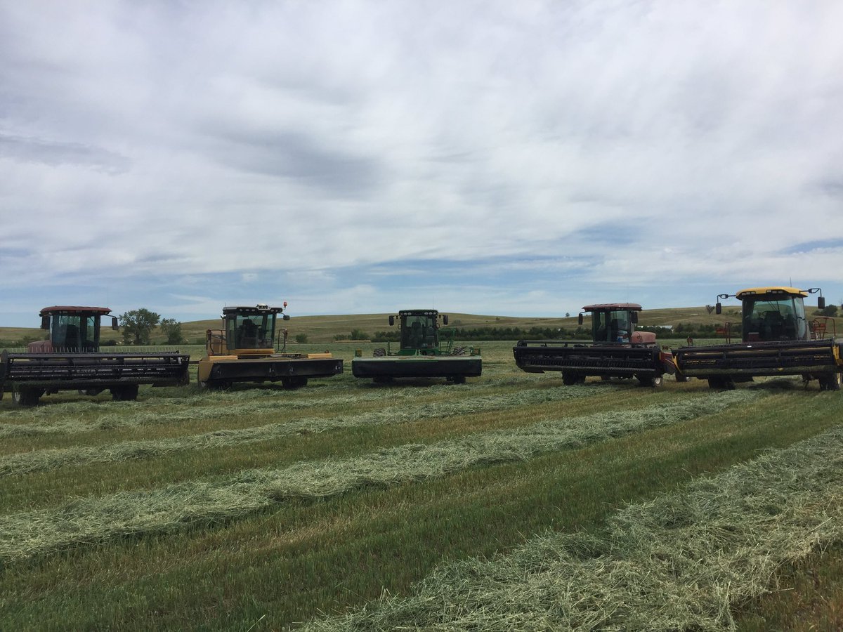 schrieferranch's tweet photo. Neighbors kid got into a bad car wreck...his name is Evan. Pray for his healing and recovery...Rest of us neighbors helping out the way we know how. Knocking down oats for them. #community #Neighbors #PrayForEvan https://t.co/GTdO5lcFQX