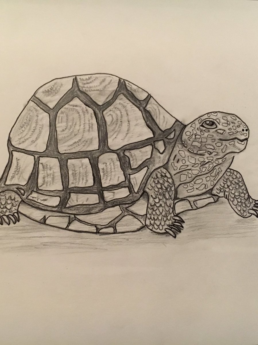 EiIeenQueen's tweet photo. Now I can finally show my little turtle. I made it for @LadyBoss1980 ... you know what for, hun.
thank god for filter 😂 #drawing #diy #firsttimedrawing https://t.co/67F2XxTJ7w