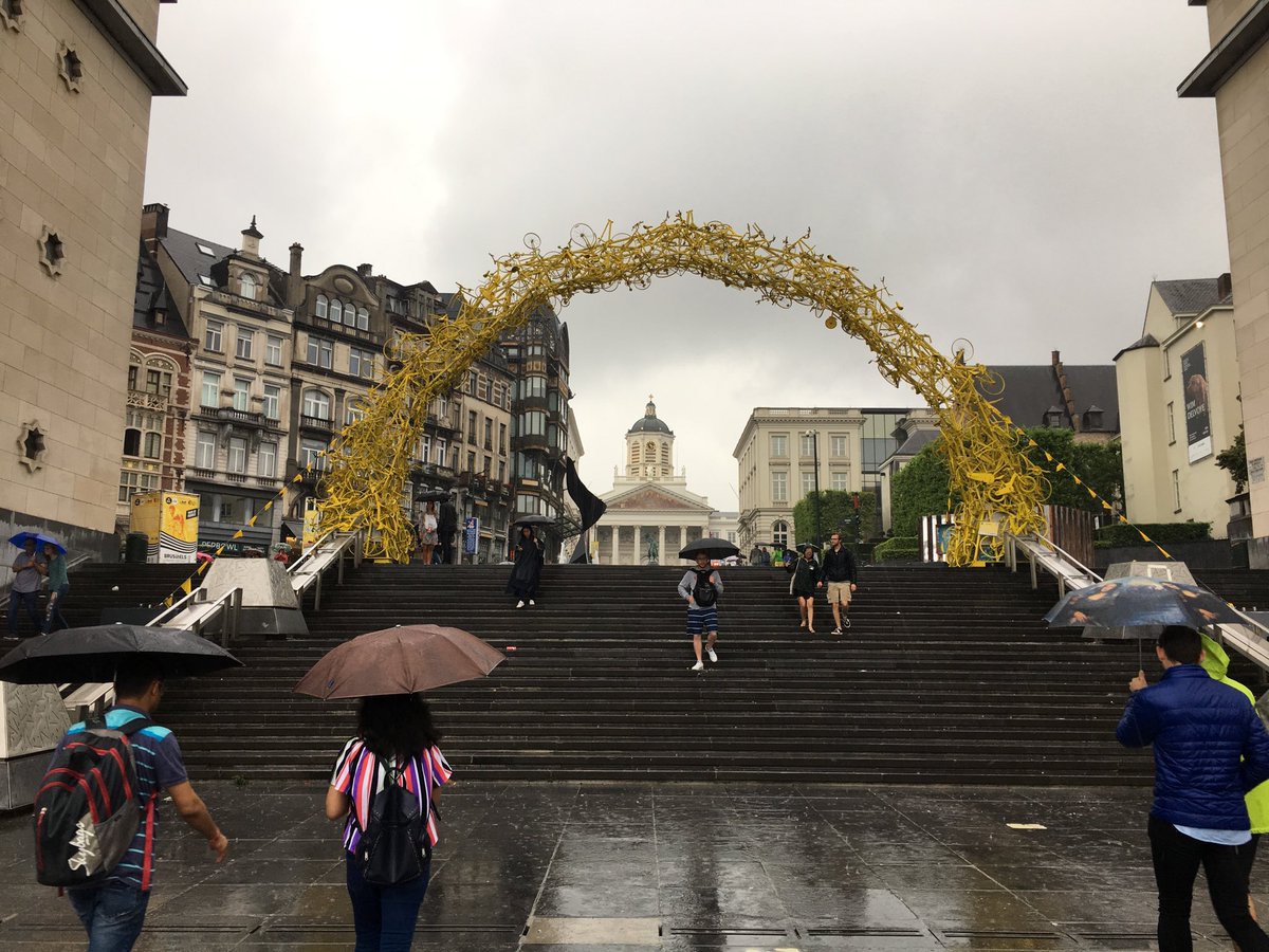 Gustavo Vargas tweet media