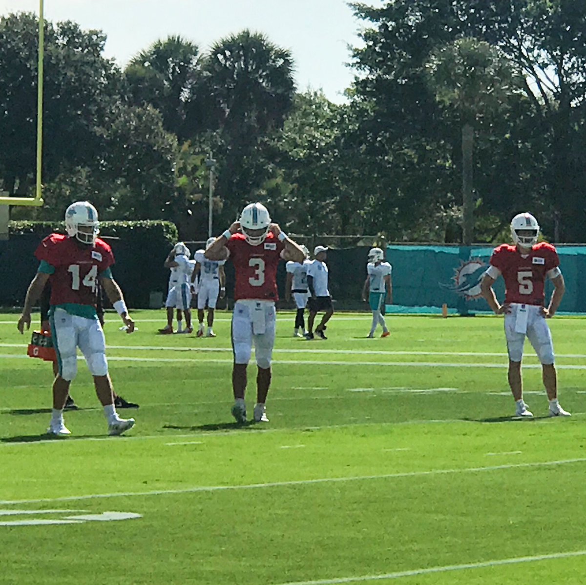 ModernSports_'s tweet photo. The Miami Dolphinโs @NFL training camp was ๐ฅ๐ What do YOU expect this season from the @MiamiDolphins and their new quarterbacks??! #NFL #Miami #Dolphins #TrainingCamp #FinsUp #JoshRosen #JakeRudock #Ryan #Fitzpatrick #FitzMagic https://t.co/rojtlnXP1M