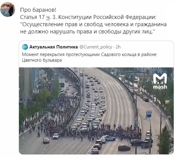 Antonsssr's tweet image. Про баранов! #Допускай #Садовая #митинг