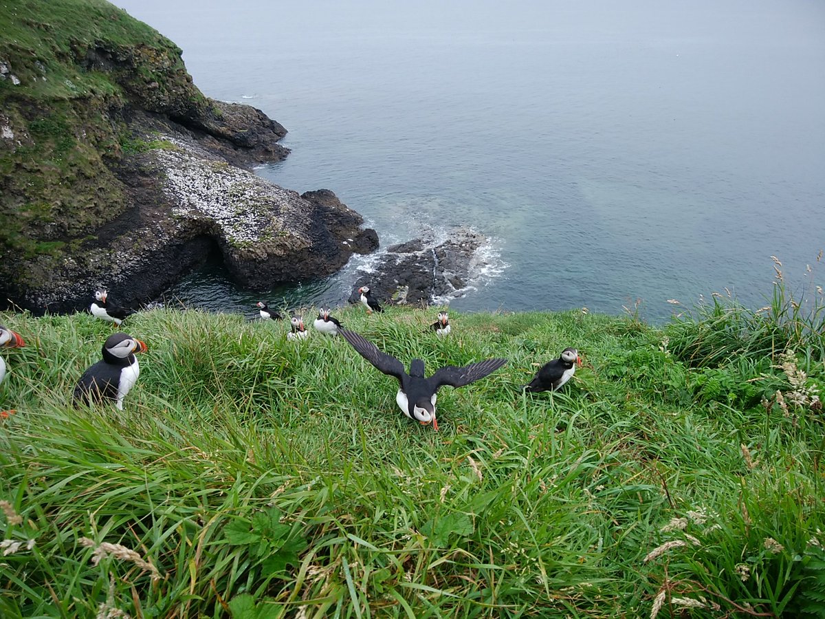 でんくろみ tweet media