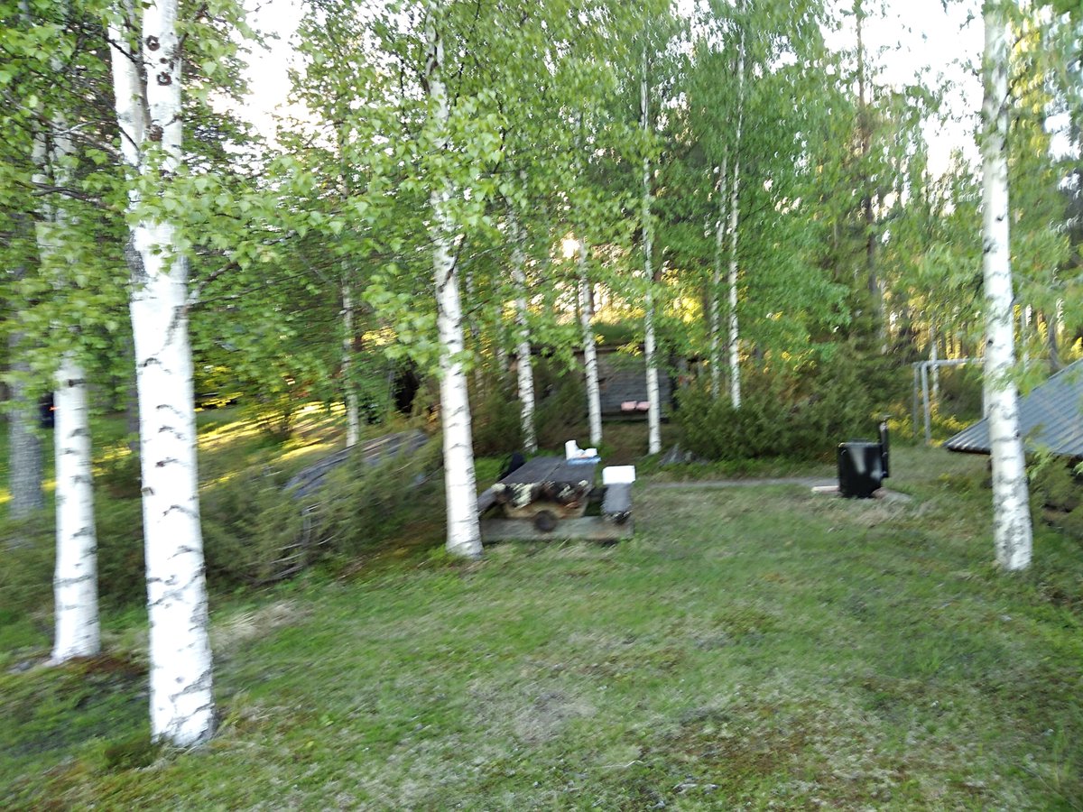 BjorkbackaHannu's tweet photo. @YleTV1 @yleareena Sodankylässä pääsin viimein savusaunaan - nyt en muista olenko koskaan aiemmin käynyt! - ja lauteille itseäni paremmassa seurassa: Makhmalbah, Meirelles, Karukoski sekä tämä mainio saunamajurimme. #Sattanen #Savusauna #Kitinen #MSFF2019 https://t.co/51wlxfIrAN