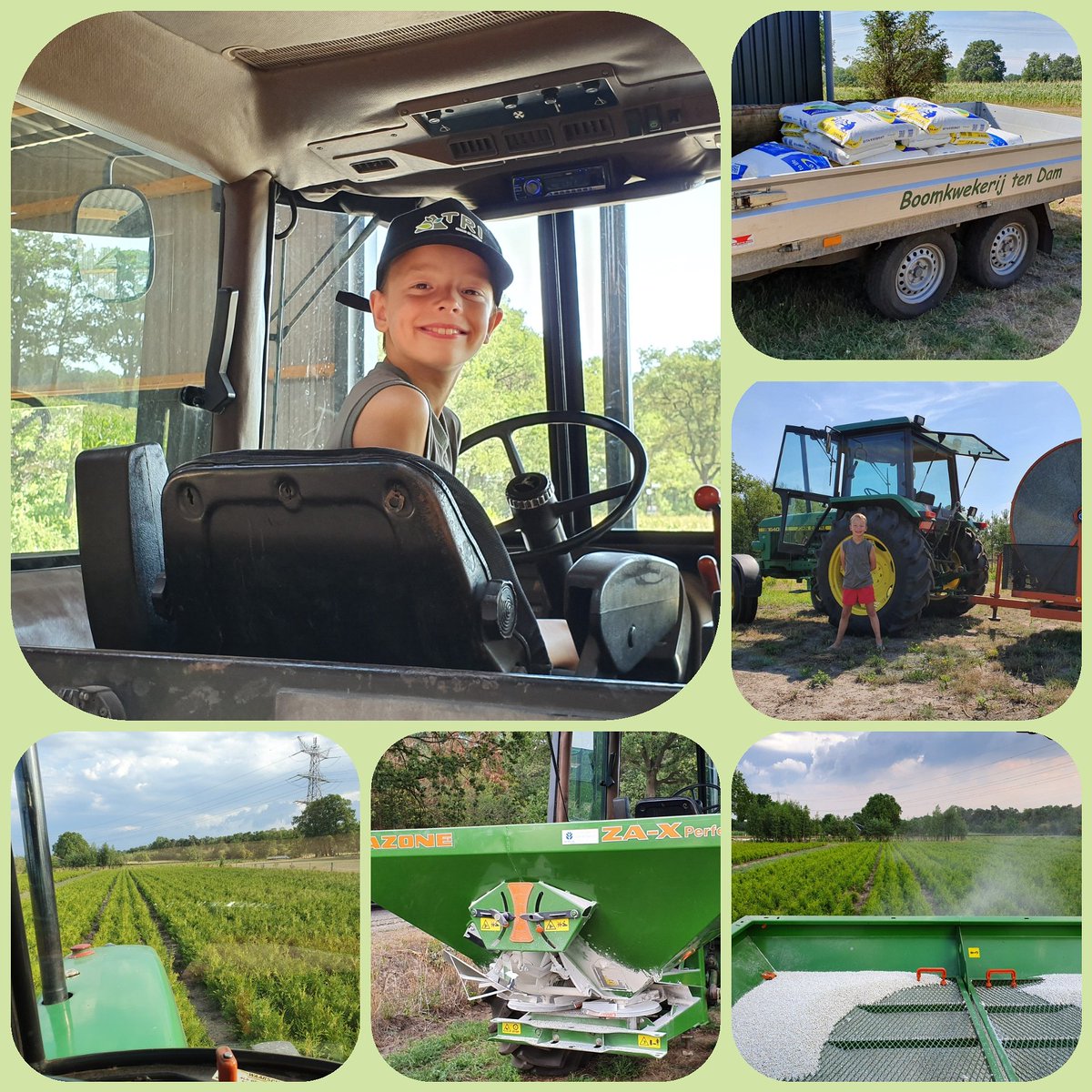 BoomkwekerijtenDam (@bk_tendam) on Twitter photo 