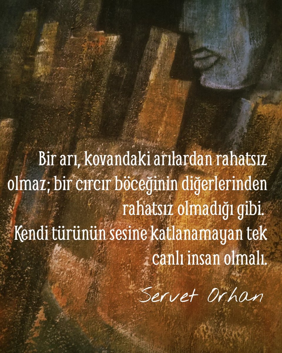 #pazar #kitapcenneti #okuyorum #kitap #kitapyurdu