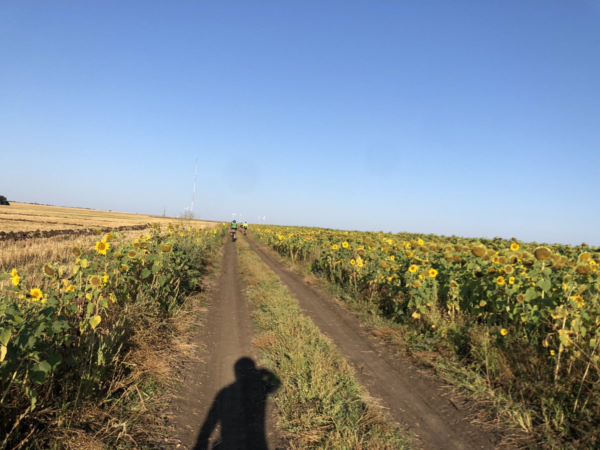 PatCoyleBike's tweet photo. TCRno7 #TCRno7 #TCRno7cap232 https://t.co/w9wyLnvfZO