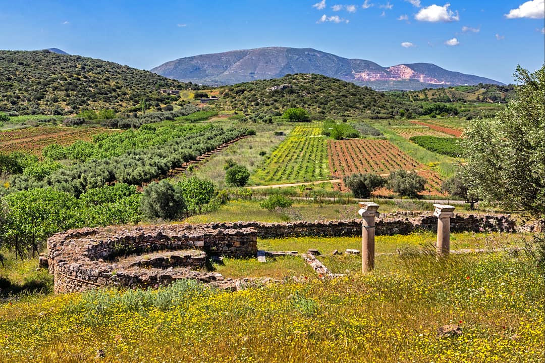 Moni_Hoffmann's tweet photo. 🇬🇷 #Attika – 14 Sehenswürdigkeiten & Extra-Tipps 🌞 PLATZ 3: #BRAURON 📊 Im Chart stellen wir unsere Highlights und Sehenswürdigkeiten in Attika vor. ▶ NEU im Blog❗Griechenland: Attika – 14 Sehenswürdigkeiten plus Extra-Tipps | https://t.co/OiUFktSylx https://t.co/jvlFq4ybu1
