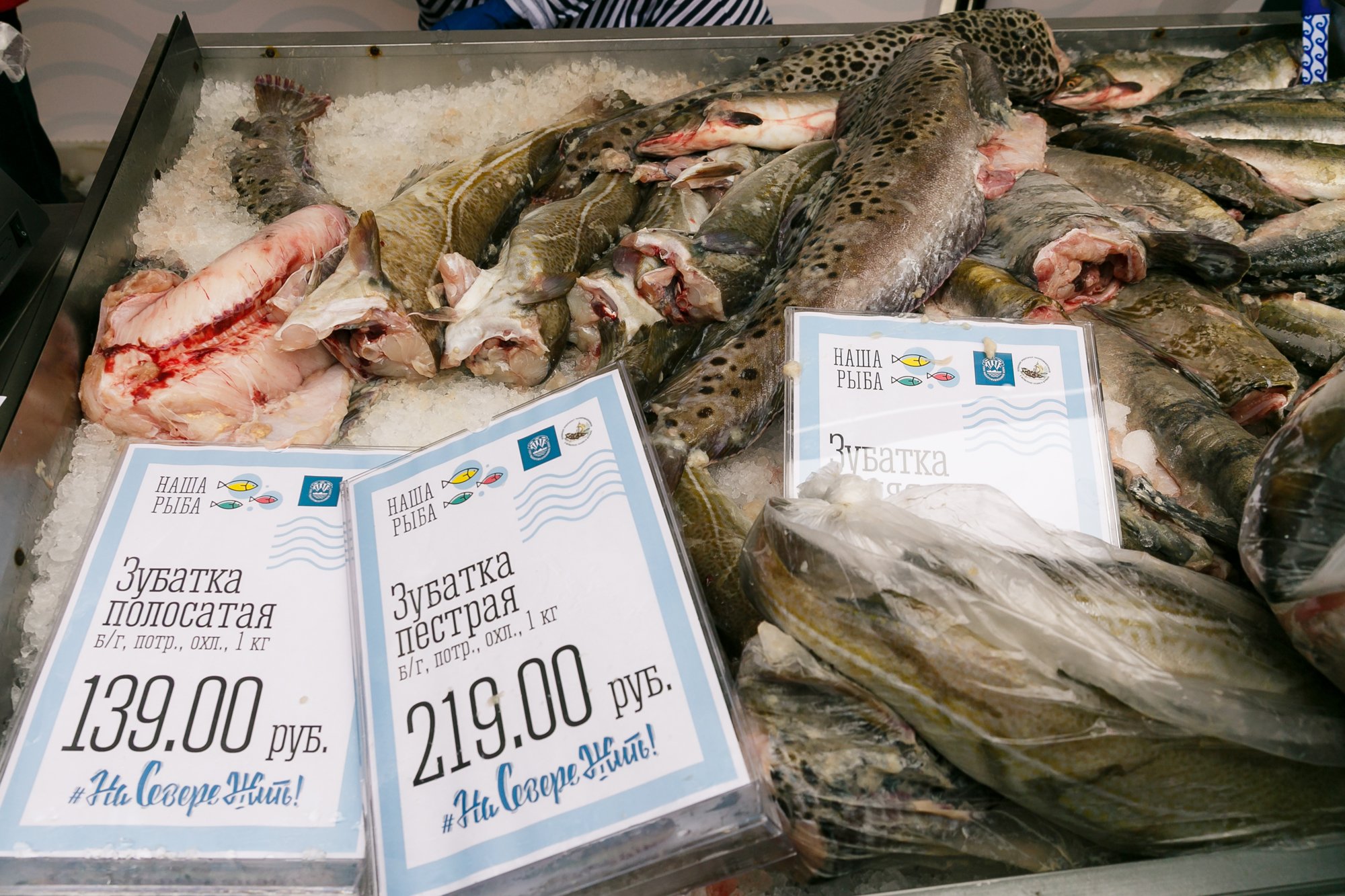 Мурманская рыба. Рыба фест мурманск. Ярмарка мурманск. Ярмарка наша рыба в мурманске. Мурманская рыбная ярмарка.