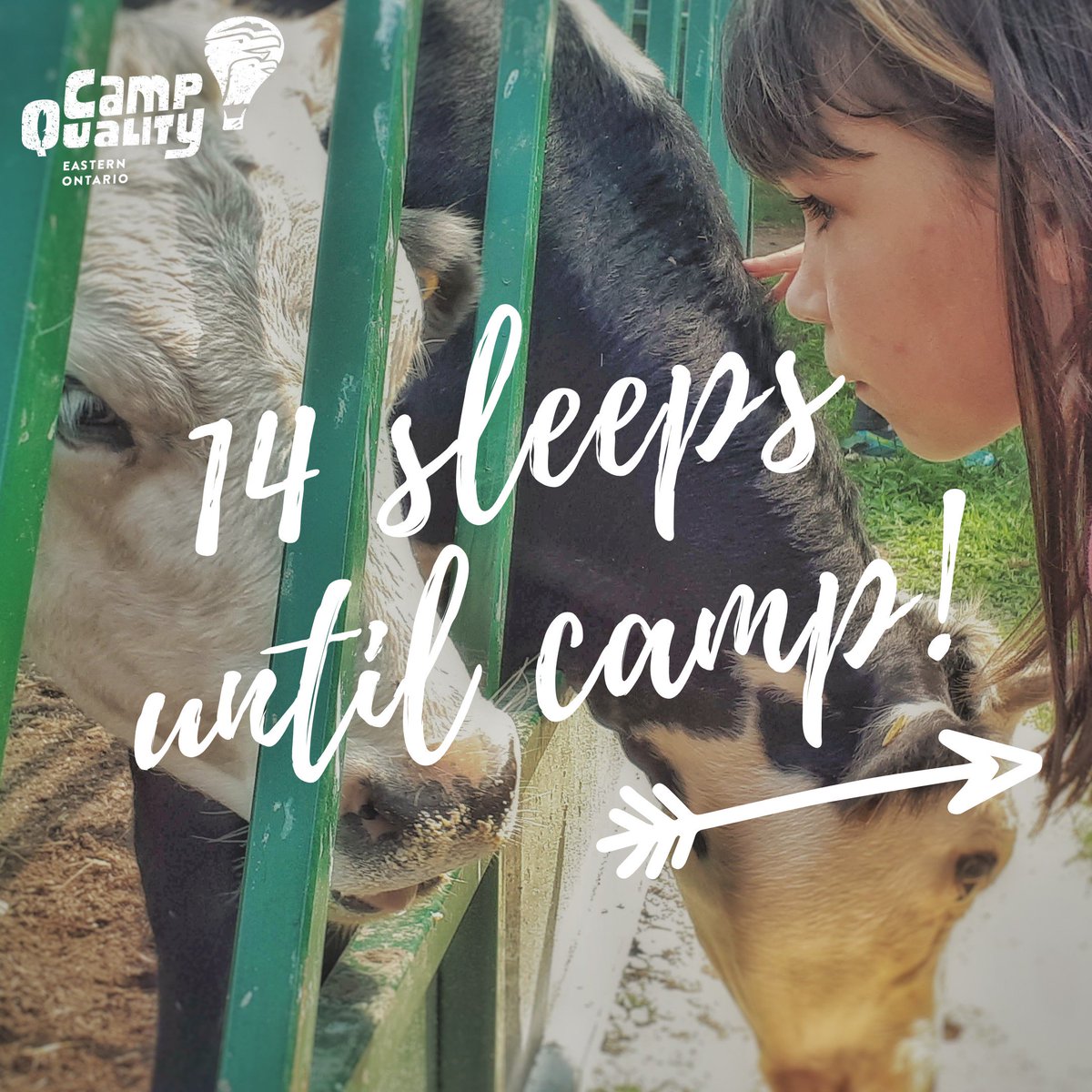 Camp Quality Eastern tweet media