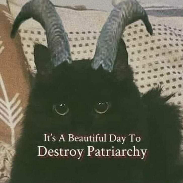 Goth Goth tweet media