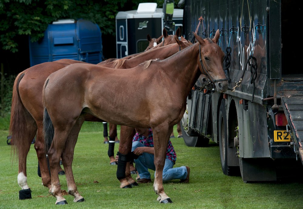PoloWeekly's tweet photo. Did you know that Ham Polo has two grounds at the club and the use of a further two inside Richmond Park? The Roehampton Ground in the park is one of the original polo fields in England. https://t.co/J2Mfwgw5Nx https://t.co/8rv4vXpBt7