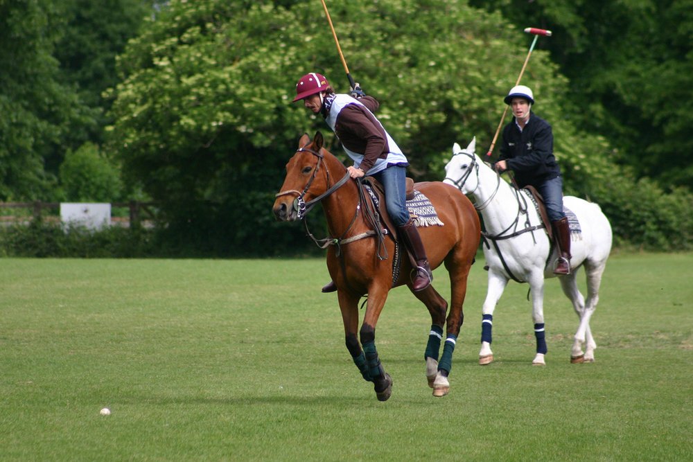 PoloWeekly's tweet photo. Did you know that Ham Polo has two grounds at the club and the use of a further two inside Richmond Park? The Roehampton Ground in the park is one of the original polo fields in England. https://t.co/J2Mfwgw5Nx https://t.co/8rv4vXpBt7