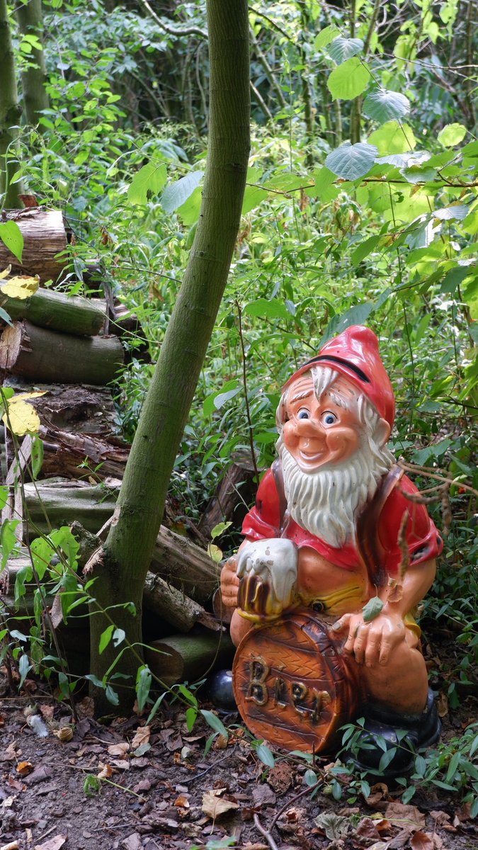 Evert de Bruine tweet media